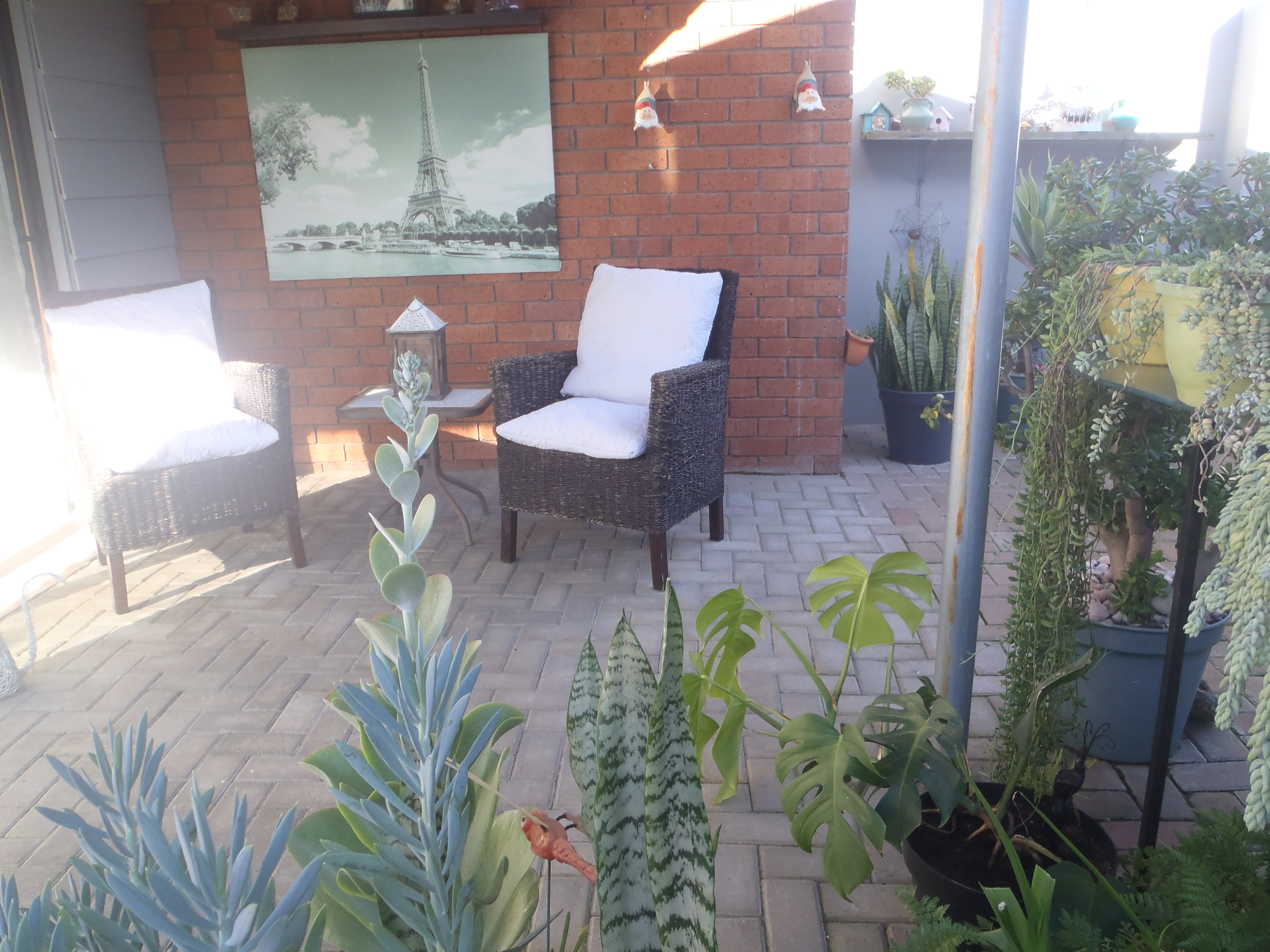 shared_patio